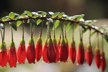 深圳宝安区1私人快速借钱网，轻松解决资金难题