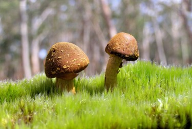 深圳宝安区1私人老板放款：轻松融资的秘密通道